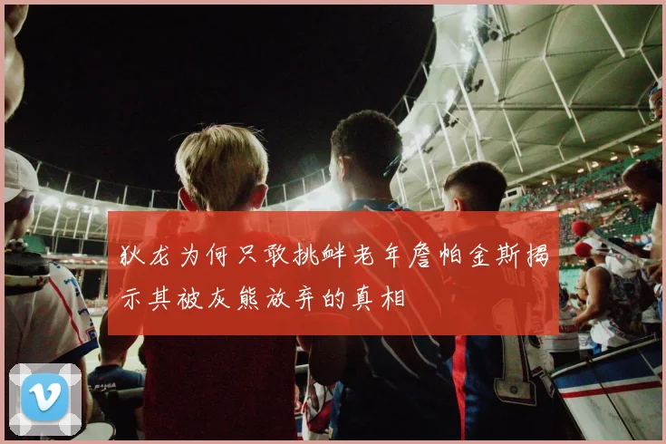 狄龙为何只敢挑衅老年詹帕金斯揭示其被灰熊放弃的真相