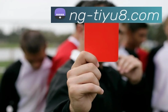 NG体育APP 封面图